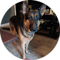 Profile photo of Saharea Ovnite