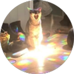 Profile photo of E. Doan