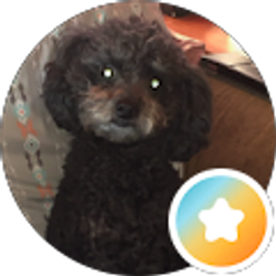 Profile photo of Debb