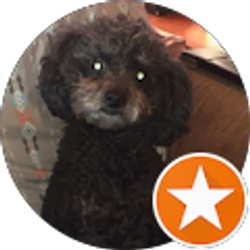 Profile photo of Debb