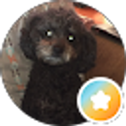 Profile photo of Debb