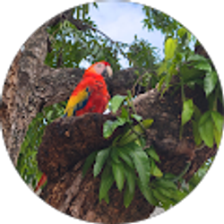 Profile photo of Lorena Martinez