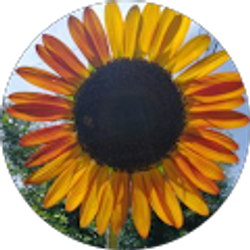 Profile photo of Maria Palewicz