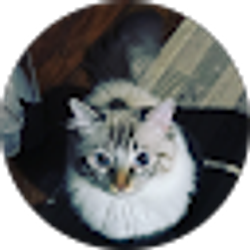 Profile photo of Mugen