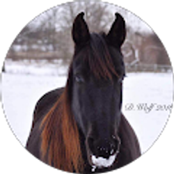 Profile photo of Stacy Pentecost