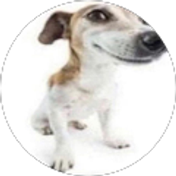 Profile photo of zander levin