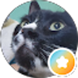Profile photo of Dessaysso