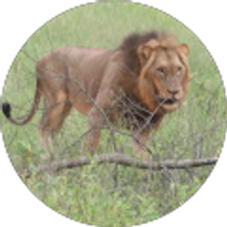 Profile photo of Michele Kay