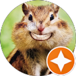 Profile photo of Fox Golden