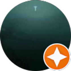 Profile photo of Anel Anaya