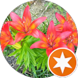 Profile photo of Kristi Grigsby