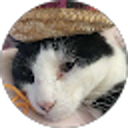 Profile photo of Kim Wuethrich