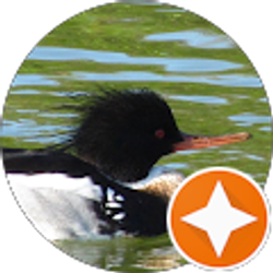 Profile photo of Norma Johnson