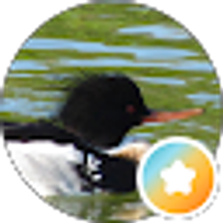 Profile photo of Norma Johnson