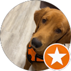 Profile photo of Robotic404