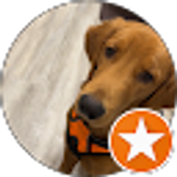 Profile photo of Robotic404