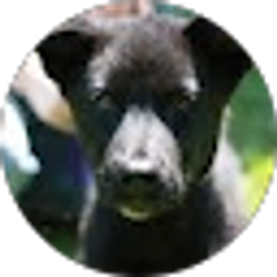 Profile photo of Linda Garland