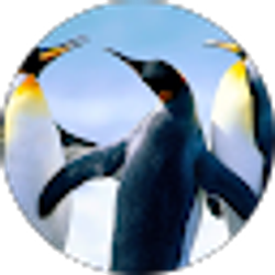 Profile photo of Hiwot Teklehaimanot