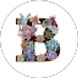 Profile photo of Brooke Dropchuk