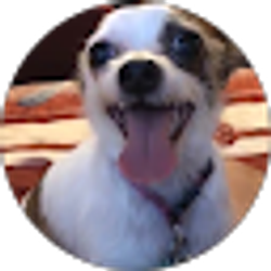 Profile photo of Jesstin Nieto