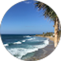 Profile photo of Lisa Loftin