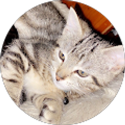 Profile photo of Annabella Bigness