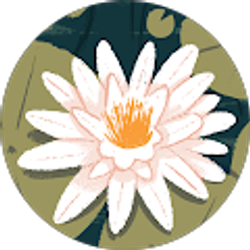 Profile photo of Jackie Gokey