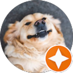 Profile photo of Matthew