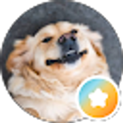 Profile photo of Matthew