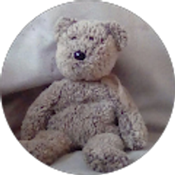 Profile photo of Amanda Earley