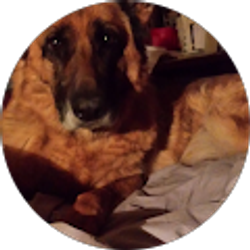 Profile photo of Geo N