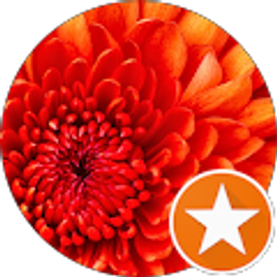 Profile photo of s t