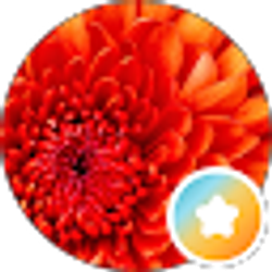 Profile photo of s t
