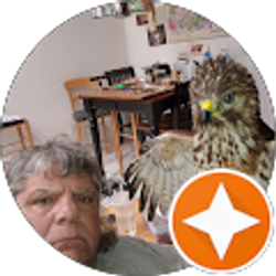 Profile photo of Michael Celano