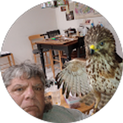 Profile photo of Michael Celano