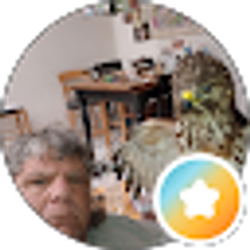 Profile photo of Michael Celano