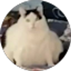 Profile photo of YaBoi Snuffles