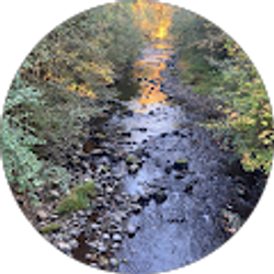 Profile photo of Damian Carroll