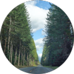 Profile photo of Alika Roger