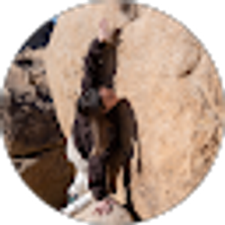 Profile photo of Krystal Stephenson