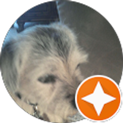 Profile photo of Maureen Cronin