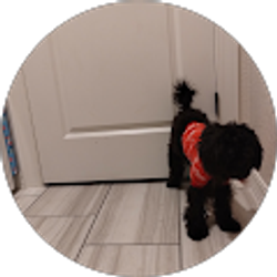 Profile photo of Alejandro Vasquez