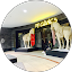 Profile photo of Brisa Baez Caballero