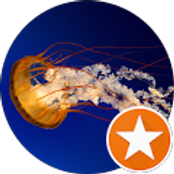 Profile photo of Tim Hill