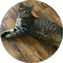 Profile photo of Melissa Moye