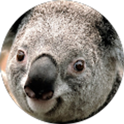 Profile photo of Jesus Garcia