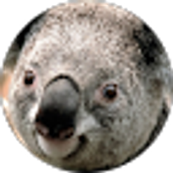 Profile photo of Jesus Garcia