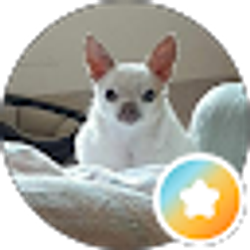 Profile photo of Gregg Ogan