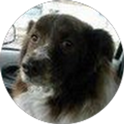 Profile photo of Keith Orr