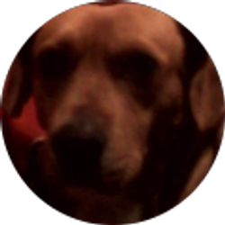 Profile photo of JJ games